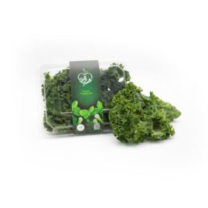 Kale Leaves Holland — premium quality