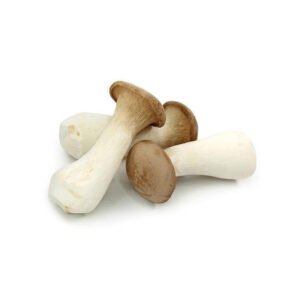 King Oyster Mushroom China 1 Pack — premium quality