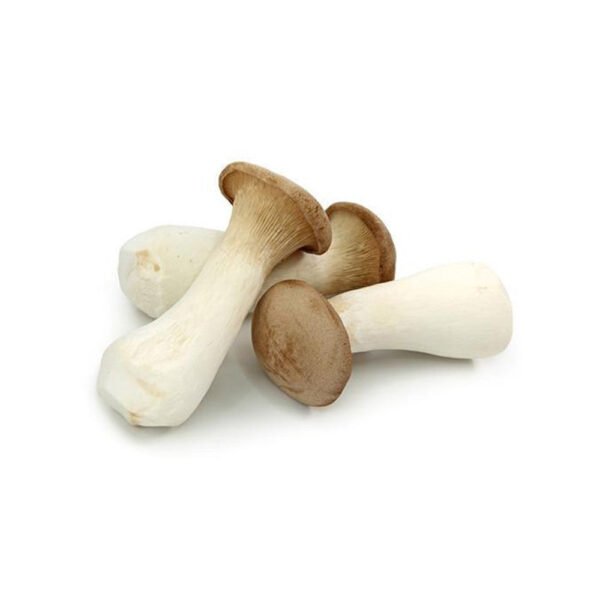 King Oyster Mushroom China 1 Pack King Oyster Mushroom China 1 Pack — premium quality