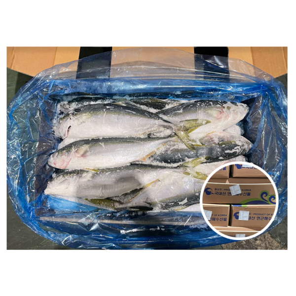 Korea Origin 700 1200G Good Carton