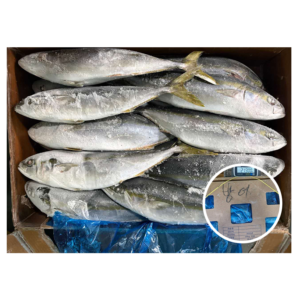 Korea Origin Good Price 700 1200G