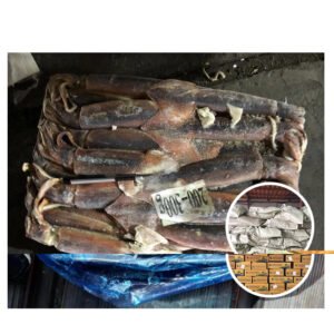 Korea Original 700 1200g Seriola Quinqueradiata