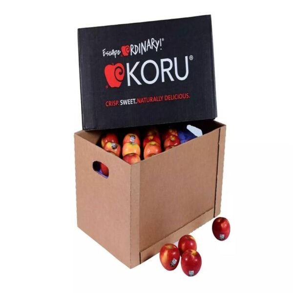 Koru Apple New Zealand 18 kg Box Koru Apple New Zealand 18 kg Box — premium quality