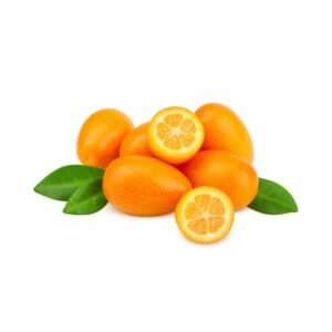 Kumquat — premium quality