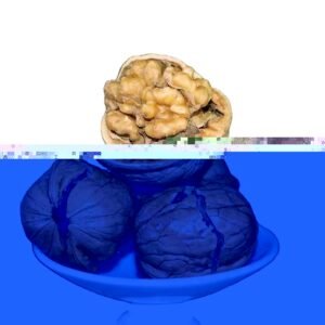 Large and Selected Peeled Walnut High