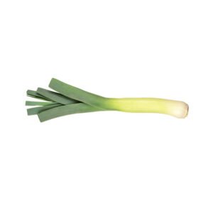 Leeks Holland — premium quality