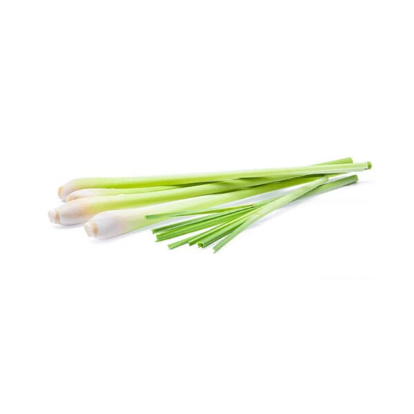 Lemon Grass Lemon Grass — premium quality