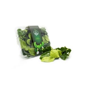 Lemon Leaves — premium quality