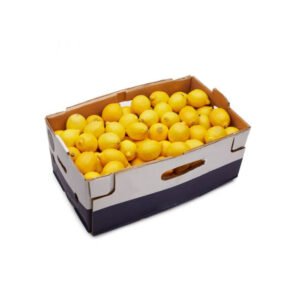 Lemon South Africa 15 kg Box — premium quality