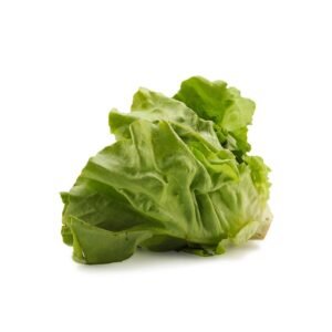 Lettuce Boston — premium quality