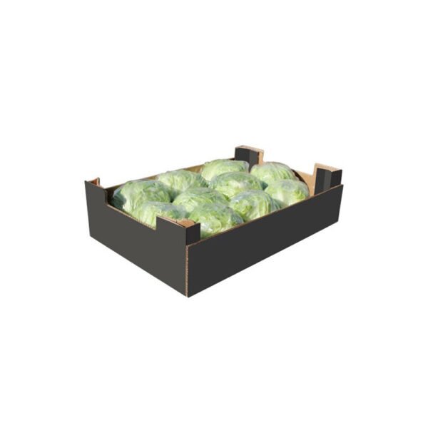Lettuce Iceberg Box Lettuce Iceberg Box — premium quality