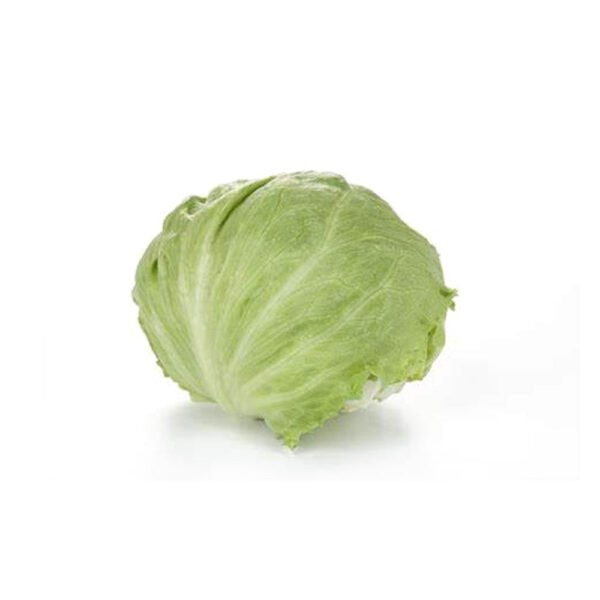 Lettuce Iceberg Leaves Sanitized Lettuce Iceberg Leaves Sanitized — premium quality