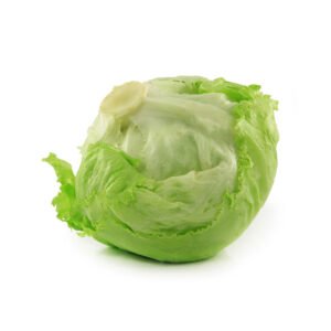 Lettuce Iceberg Spain — premium quality