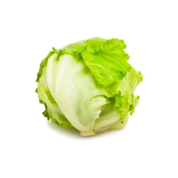 Lettuce Iceberg Spain 1 Piece Lettuce Iceberg Spain 1 Piece — premium quality