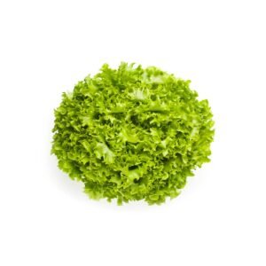 Lettuce Lollo Bionde Netherlands 1 Piece — premium quality