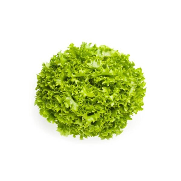 Lettuce Lollo Bionde Netherlands 1 Piece Lettuce Lollo Bionde Netherlands 1 Piece — premium quality