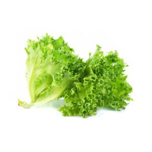 Lettuce Lollo Bionde UAE 125g Pack — premium quality