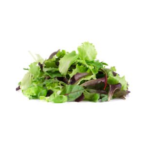 Lettuce Mesculin Italy 100g Pack — premium quality