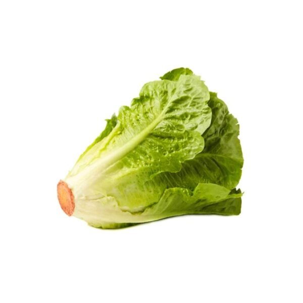 Lettuce UAE 1kg Lettuce UAE 1kg — premium quality