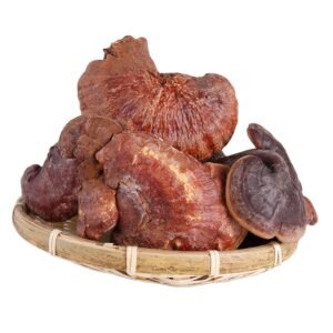 Lingzhi Mushrooms Ganoderma Lucidum Herb for