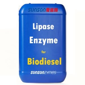 Lipase for Biodiesel Enzyme for Biodiesel