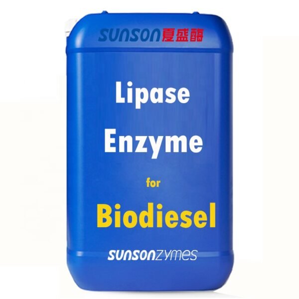 Lipase for Biodiesel Enzyme for Biodiesel