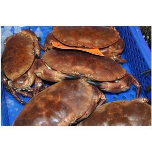 Lobster Crab