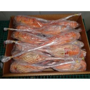 Lobster Crab