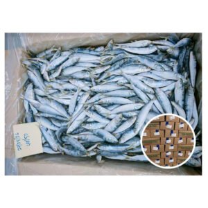 Low Price Sardinella Longiceps Pescado Canned