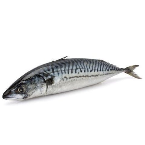 Mackerel Ayala Bangda Aylai Whole Cleaned 500g — premium quality