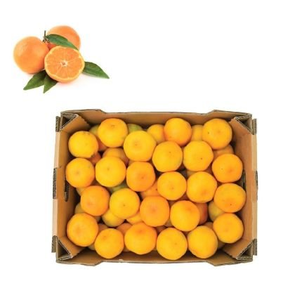 Mandarin Mandarin — premium quality
