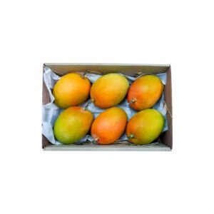Mango Alphonso India 2 5 3 kg Box — premium quality