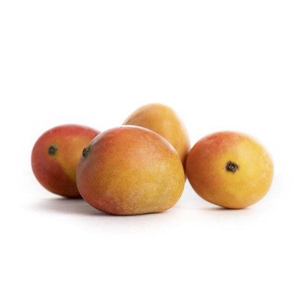 Mango Baby Colombia 1500g Box Mango Baby Colombia 1500g Box — premium quality