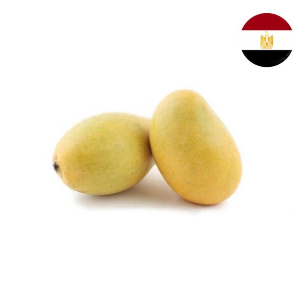 Mango Fass Mango Fass — premium quality