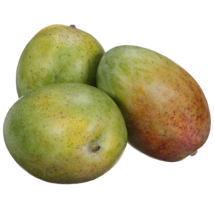 Mango Keitt Egypt — premium quality