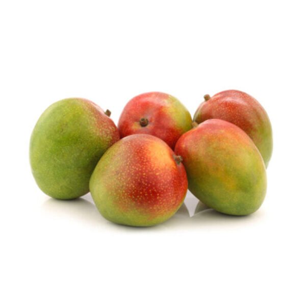 Mango R2e2 Egypt Mango R2e2 Egypt — premium quality
