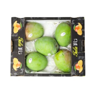 Mango R2e2 Egypt Box — premium quality