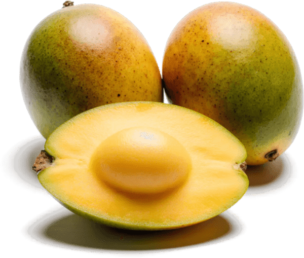 Mango Season UAE Fresh Pakistani & Indian Mangoes Delivere Mango Season UAE Fresh Pakistani & Indian Mangoes Delivere — premium quality