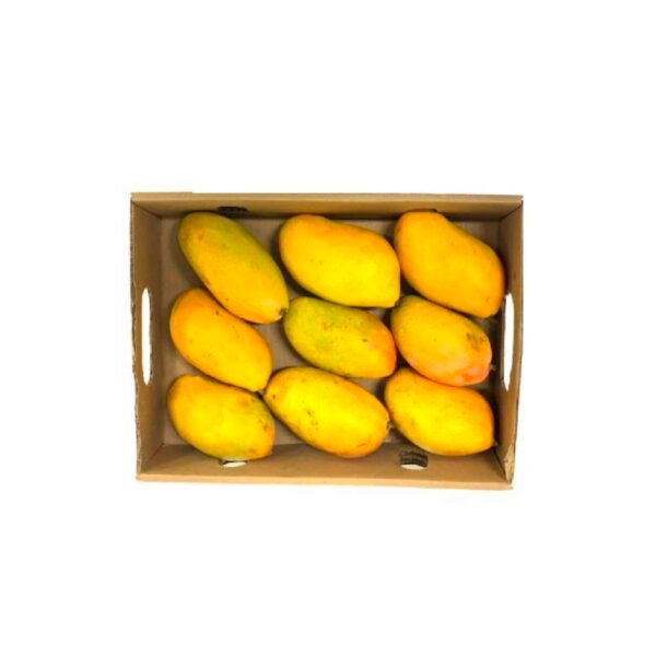 Mango Taymor Yemen 2 5 kg Box Mango Taymor Yemen 2 5 kg Box — premium quality