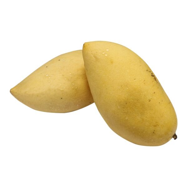 Mango Yellow Thailand Mango Yellow Thailand — premium quality