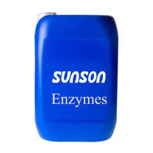 Manufacture Supply Paper Enzymes Reducing the