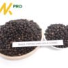 Manufacturer Export High Quality Good Price