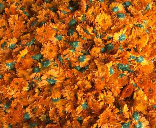 Marigold Flower Tea Herb Blooming Tea
