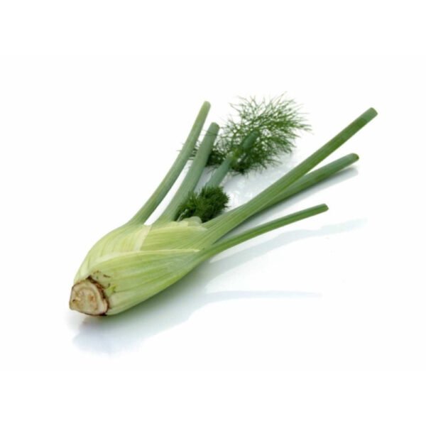 Mini Fennel South Africa 200g Pack Mini Fennel South Africa 200g Pack — premium quality