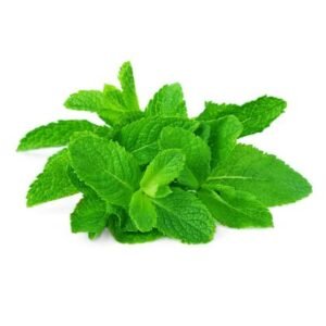Mint — premium quality
