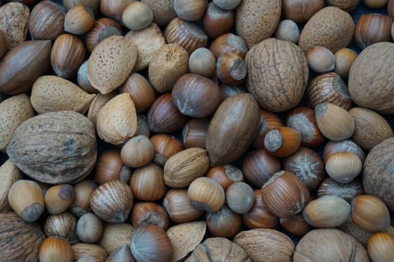 mixed nuts — professional stock image