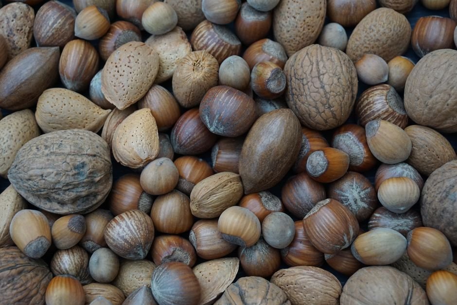 mixed nuts — professional stock image