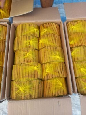 MKPRO Cassia Cinnamon Sticks Dried Vietnam