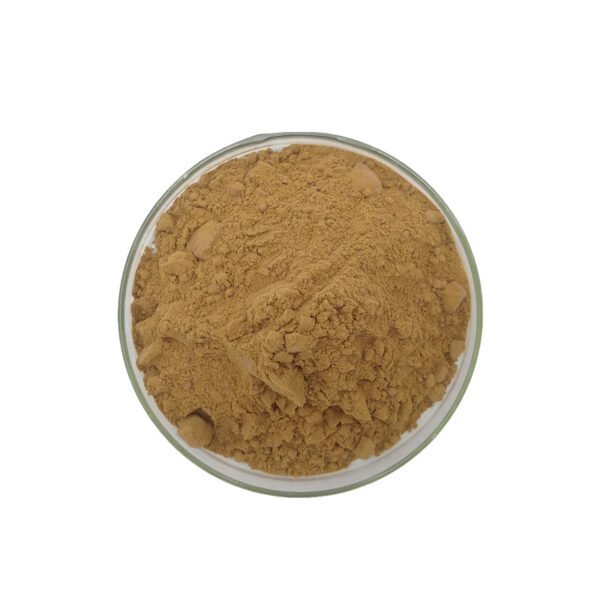 Morus Alba Leaf Extract DNJ 0 Morus Alba Leaf Extract DNJ 0