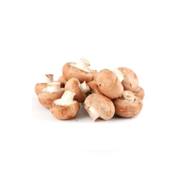 Mushroom Brown Netherlands 500g Mushroom Brown Netherlands 500g — premium quality